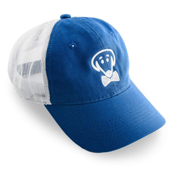 Brett baseball hat in royal blue and white mesh by Beau Tyler