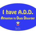 I have A.D.D - Attention to Dogs Disorder
