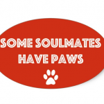 SOME SOULMATES HAVE PAWS