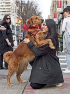 Beau Tyler - Loubie the hugging dog pic 4