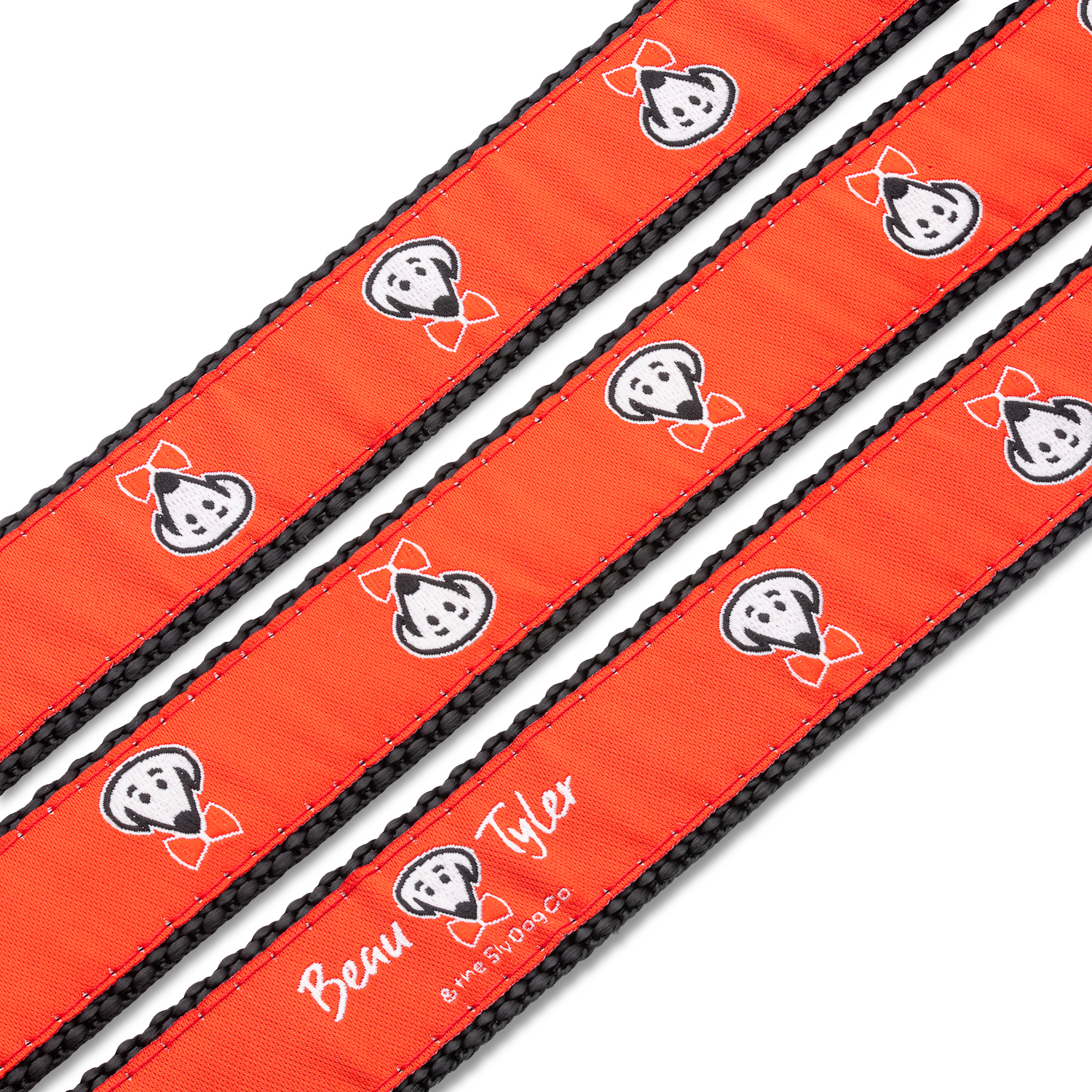 Beau Tyler pet collar and leash pattern red