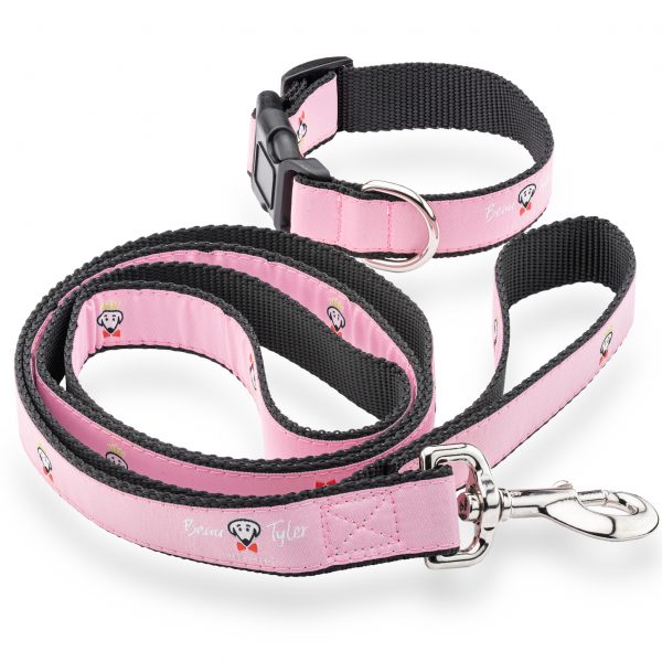 Beau Tyler pet collar and leash set pink