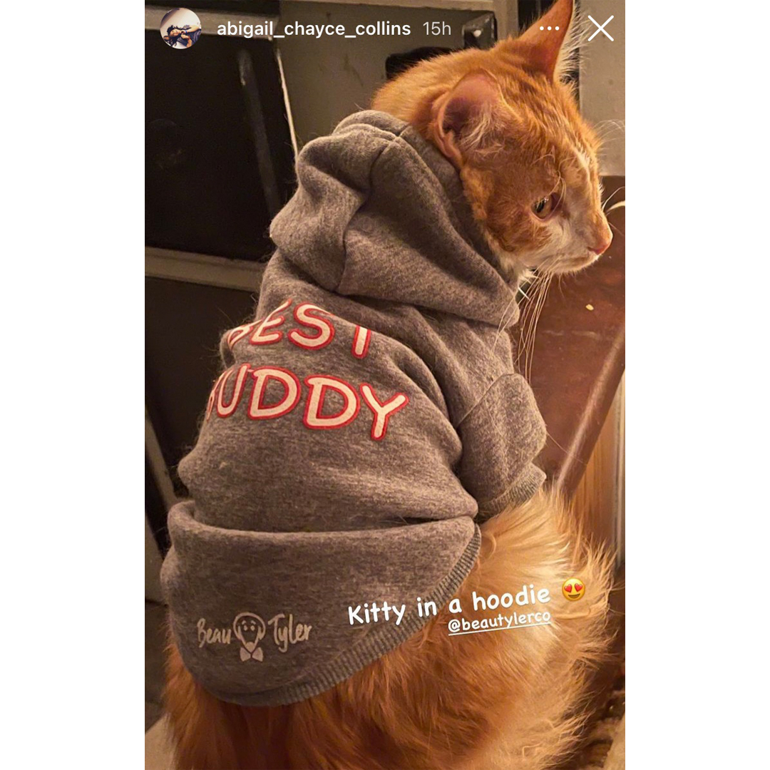 Beau Tyler - Friends of Beau - kitty in a hoodie